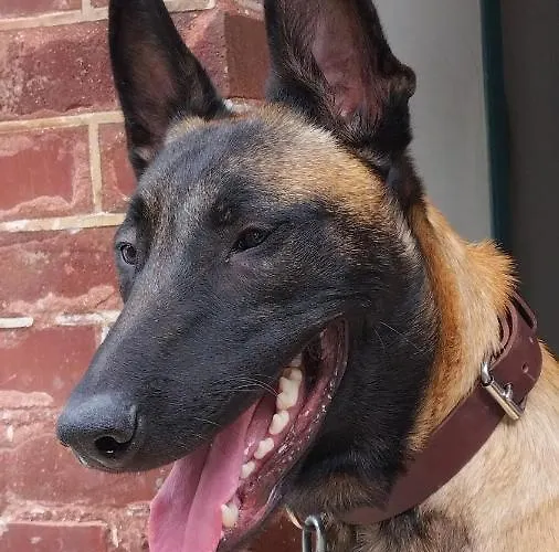 Hill Alojamento de Acomodação e Pequeno-almoço Équemauville